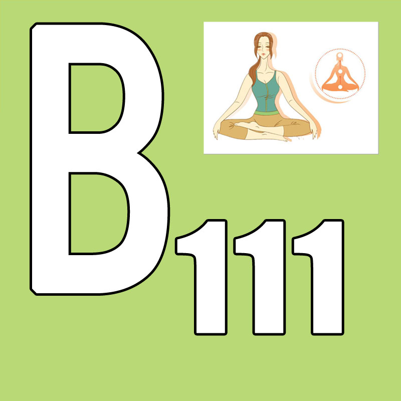 Горячая новинка! Выпуск 2026.Q – обзор и цена Pilates Yoga Or